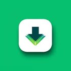 Загрузчик видео