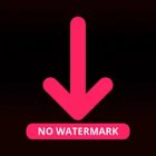 Like Video Downloader без водяного знака