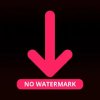 Like Video Downloader без водяного знака