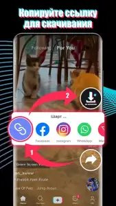 Скачать видео с ТТ