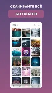 Insget — скачать с Инстаграма