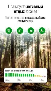 Прозрачные часы и погода Pro