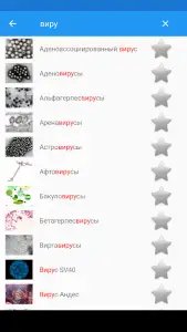 Вирусы