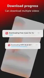Tube Video Downloader