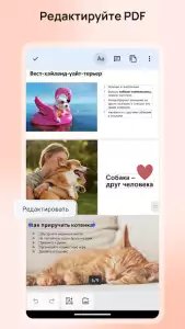 МойОфис документы