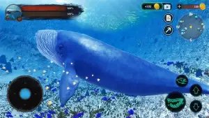 The Blue Whale (Синий кит)