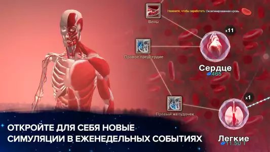 Эволюция никогда не заканчивается