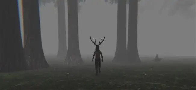 Trapped in the Forest