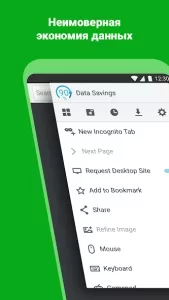 Puffin Web Browser