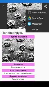 Вирусы