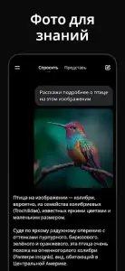 Grok — нейросеть