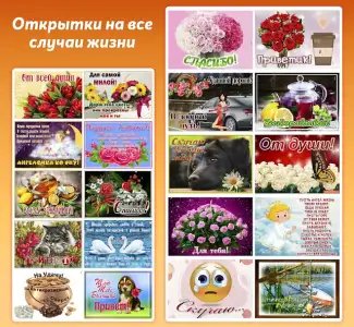 Открытки с поздравлениями