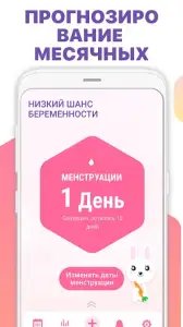 Овуляция и календарь месячных