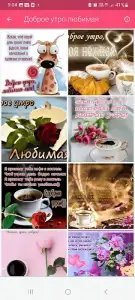 Доброе утро, день, вечер