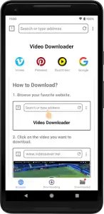 Video Downloader