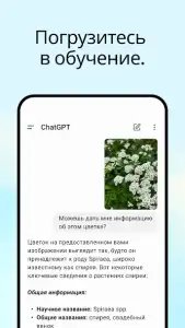 ChatGPT