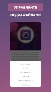 Insget — скачать с Инстаграма