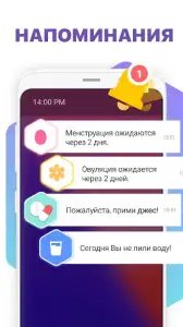 Овуляция и календарь месячных