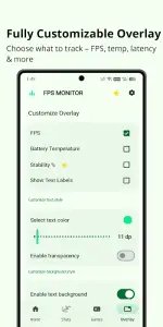 FPS Monitor