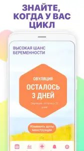 Овуляция и календарь месячных