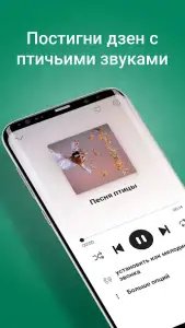 Рингтоны на звонок