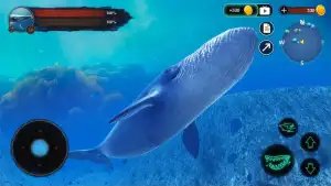 The Blue Whale (Синий кит)