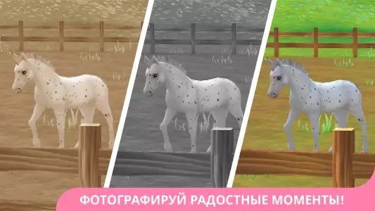 Star Stable Horses online