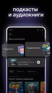 VK музыка (BOOM)