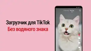 Загрузчик видео Тик Ток без водяного знака