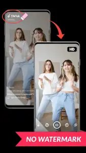 Скачать видео с Тик Ток