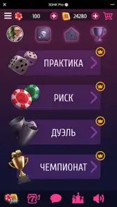 ЗОНК Про