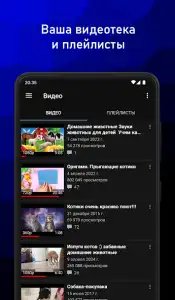 Video App для ВК